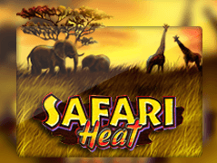 Safari Heat thumbnail